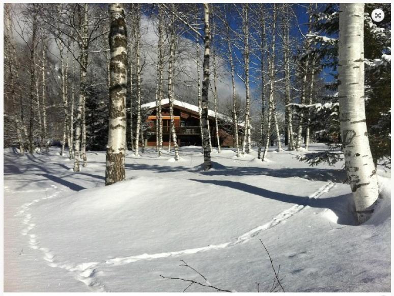 Chalet Champraz - Free Parking Chamonix Ngoại thất bức ảnh
