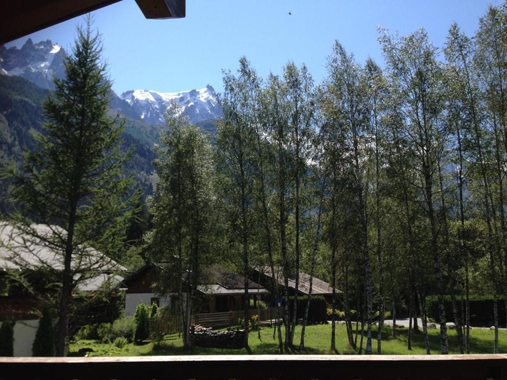 Chalet Champraz - Free Parking Chamonix Ngoại thất bức ảnh