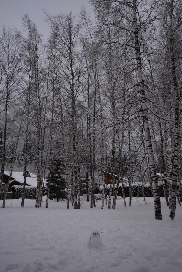 Chalet Champraz - Free Parking Chamonix Ngoại thất bức ảnh